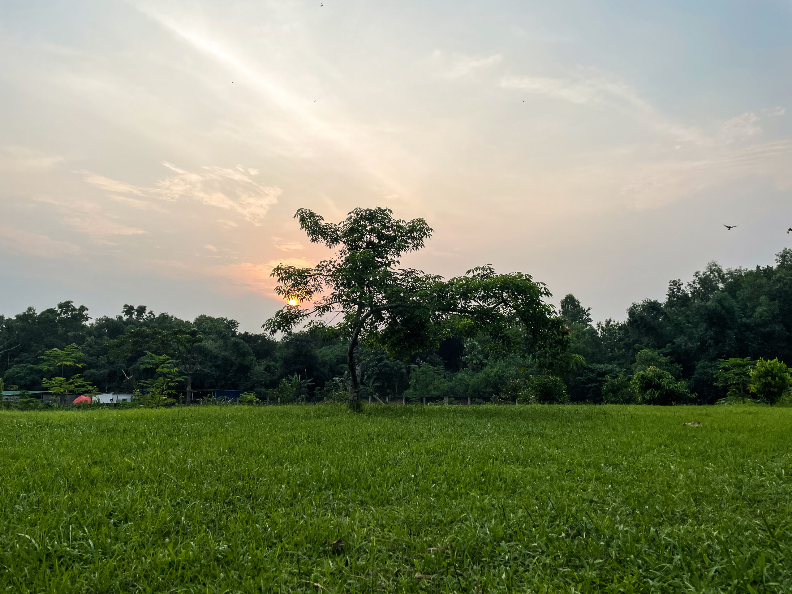 Sunset view over open field at Neelpotro resort, Gazipur