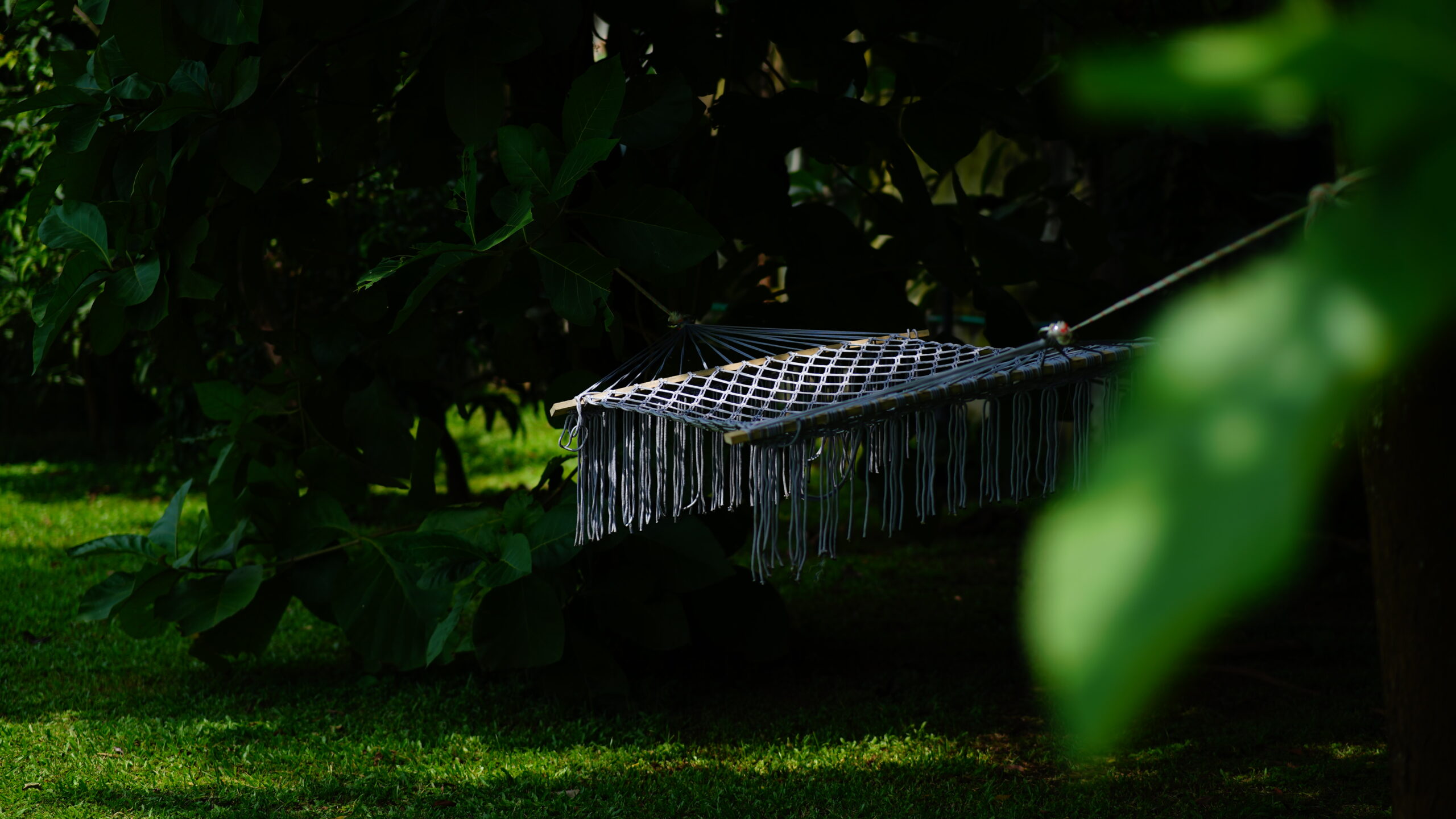 Hammock in shaded garden at Neelpotro resort for relaxing in nature